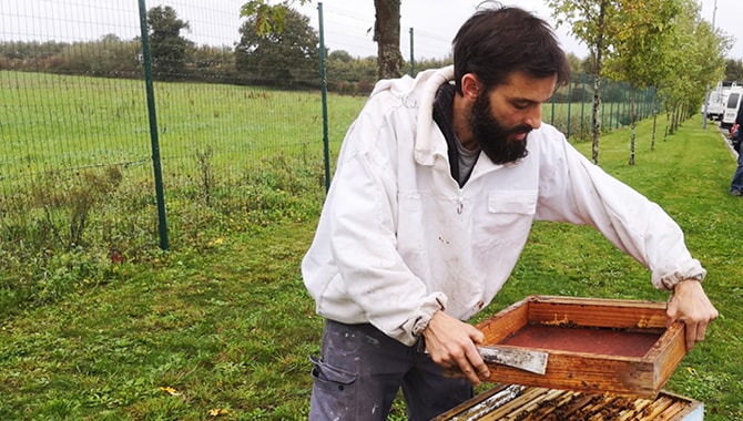 un espace en plus pour les abeilles-3